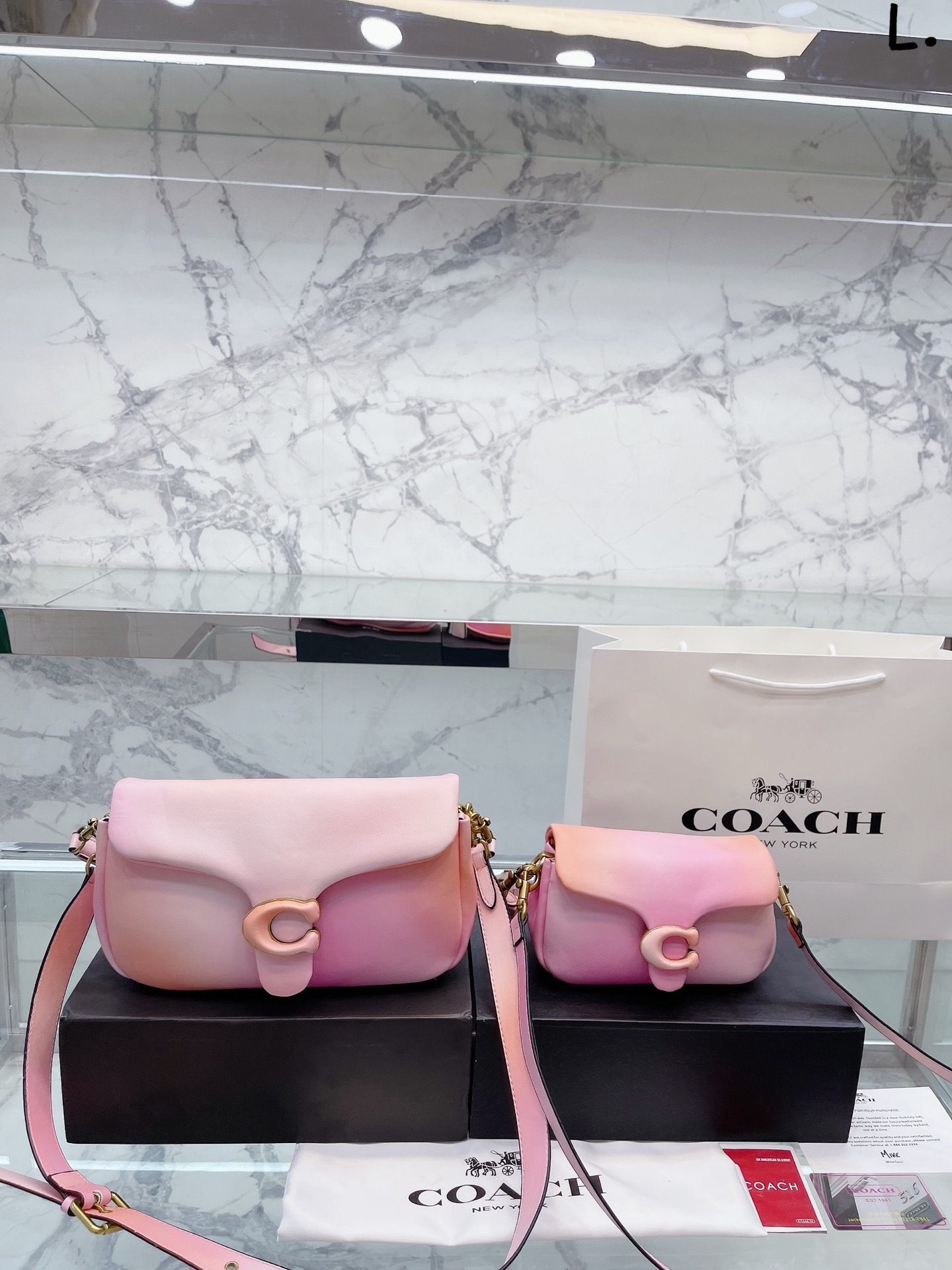 渐变色 TABBY 26号单肩包 渐变色 tabby 渐变色好高级呀～粉嫩十足 可爱气质呼之欲出猪 采用 NA内部隔层设计 长短肩带搭配 肩带也是渐变色的噢 上身秒时尚精大号 26cm 小号18cm