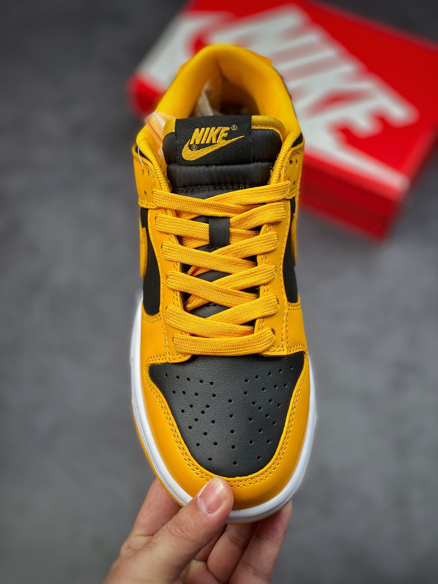 280 Nike SB Dunk Low Goldenrod 肯塔基黑橙 DD1391-004