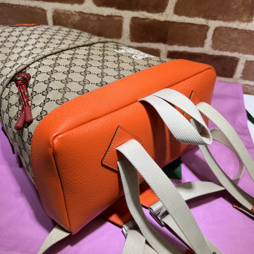 The North Face x Gucci联名系列背包650288