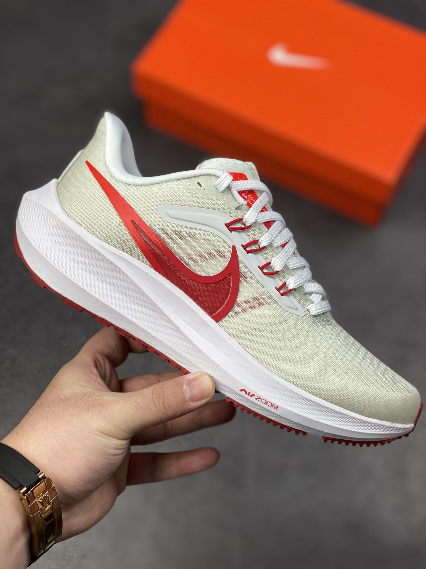 190 Air Zoom Pegasus 39飞马系列 DH4072-103