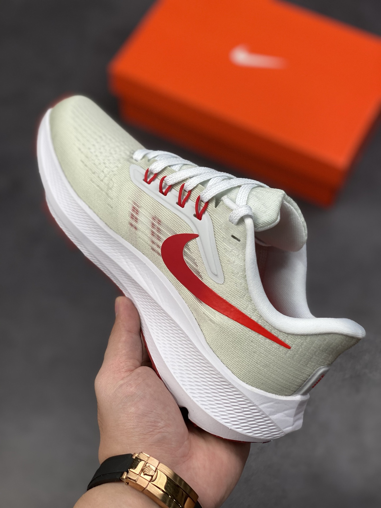 190 Air Zoom Pegasus 39飞马系列 DH4072-103