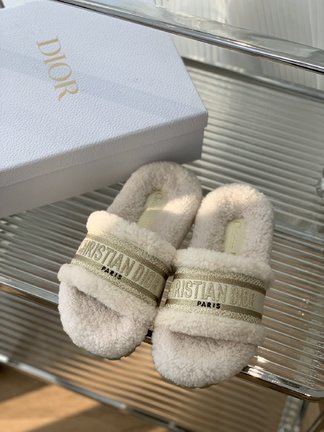 Dior Wholesale Shoes Slippers Embroidery Fall Collection