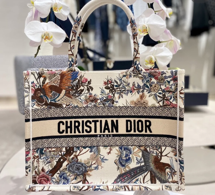 Dior Book Tote Handbags Tote Bags Beige Winter Collection