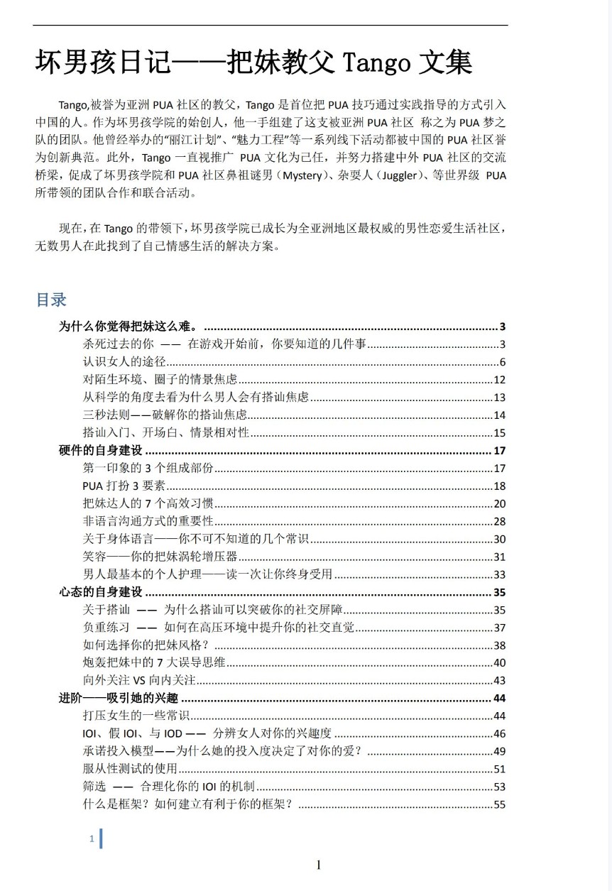 《坏男孩日记》无水印「百度网盘下载」PDF 电子书插图