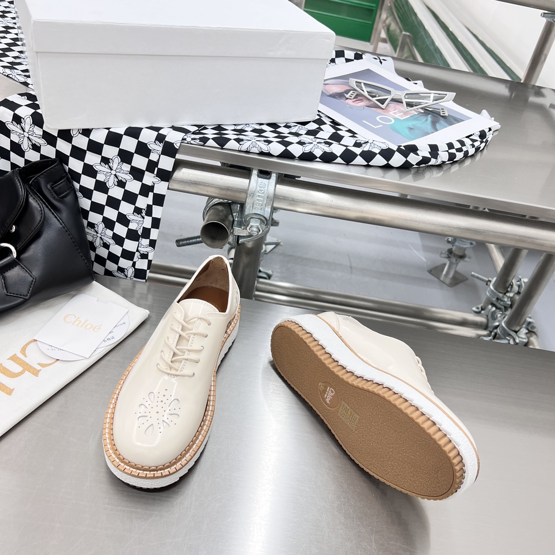 Chloe Fall/Winter 2022 Shoes: Customized, Genuine Oxen Skin, Tooth-Resistant, Sizes 35-40 - 图片 8