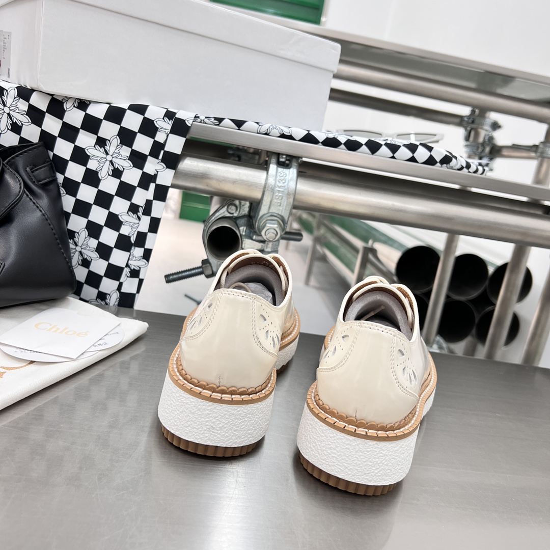 Chloe Fall/Winter 2022 Shoes: Customized, Genuine Oxen Skin, Tooth-Resistant, Sizes 35-40 - 图片 9