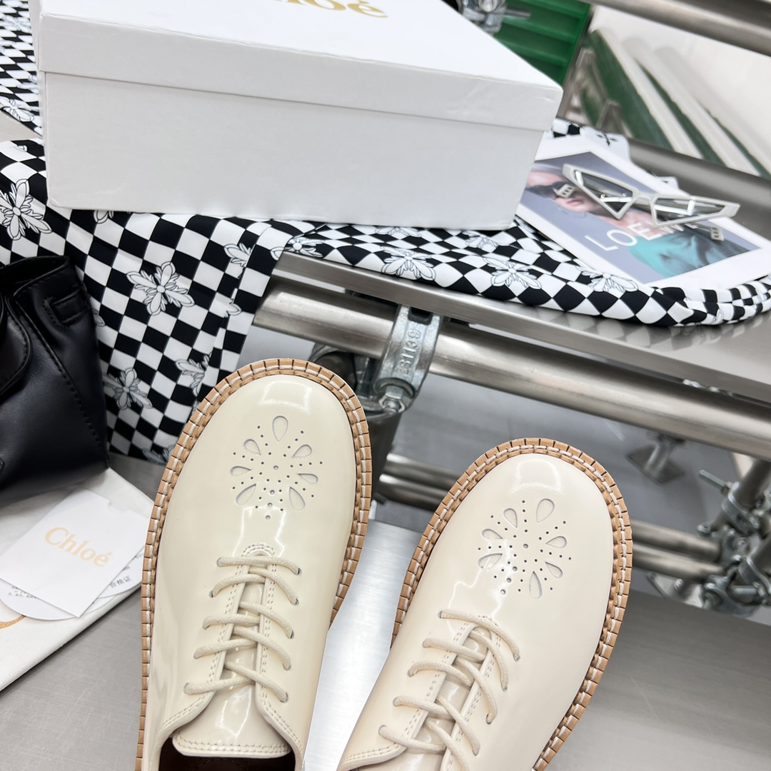 Chloe Fall/Winter 2022 Shoes: Customized, Genuine Oxen Skin, Tooth-Resistant, Sizes 35-40 - 图片 5