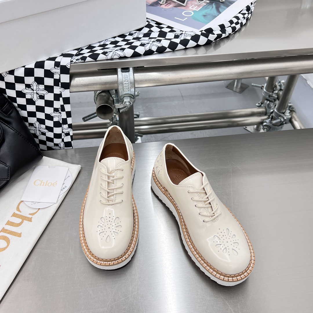 Chloe Fall/Winter 2022 Shoes: Customized, Genuine Oxen Skin, Tooth-Resistant, Sizes 35-40 - 图片 3