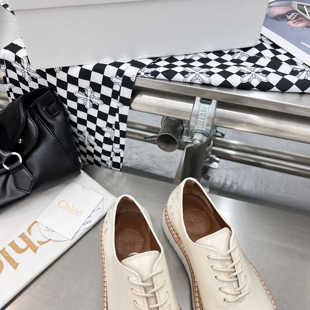 Chloe Fall/Winter 2022 Shoes: Customized, Genuine Oxen Skin, Tooth-Resistant, Sizes 35-40 - 图片 4