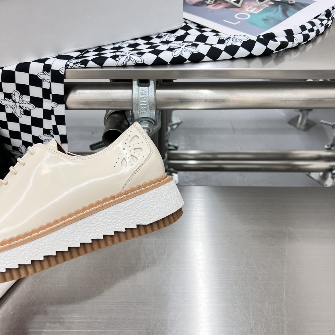 Chloe Fall/Winter 2022 Shoes: Customized, Genuine Oxen Skin, Tooth-Resistant, Sizes 35-40 - 图片 6
