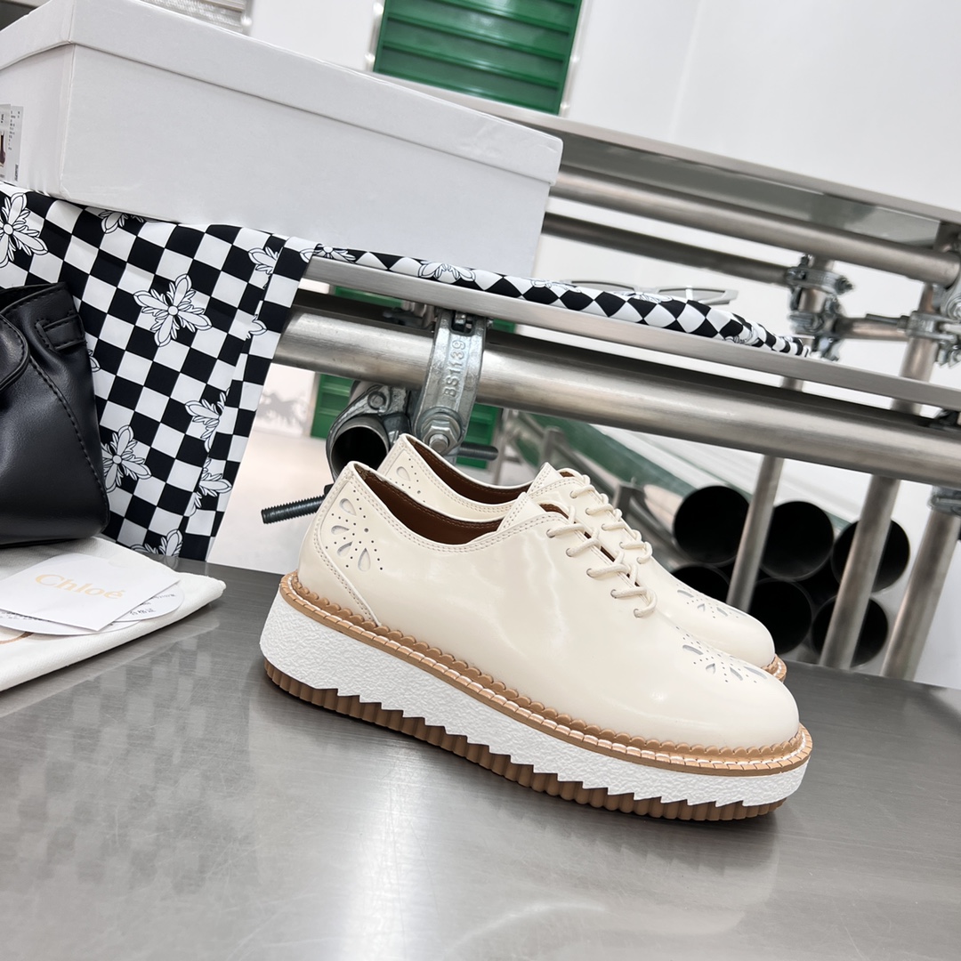 Chloe Fall/Winter 2022 Shoes: Customized, Genuine Oxen Skin, Tooth-Resistant, Sizes 35-40 - 图片 7