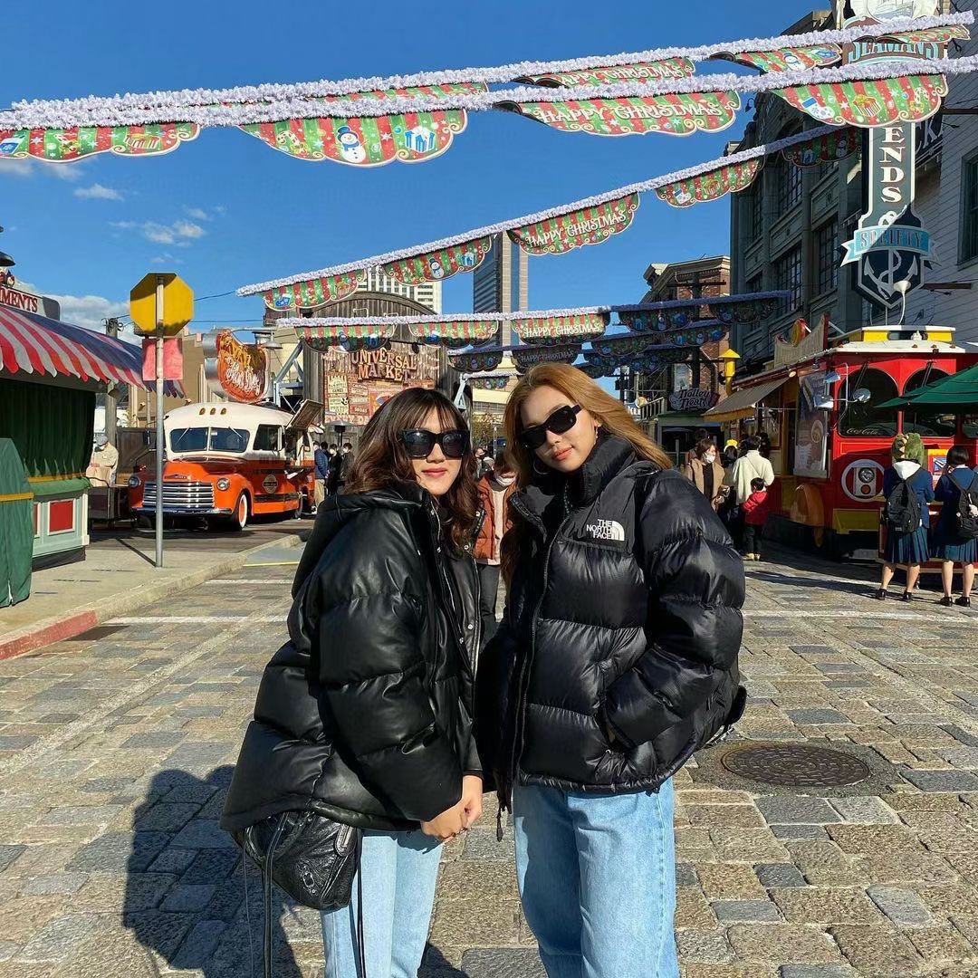 THE NORTH FACE 1996 拼接 刺繡 高品質 ダウンコットン ジャケット