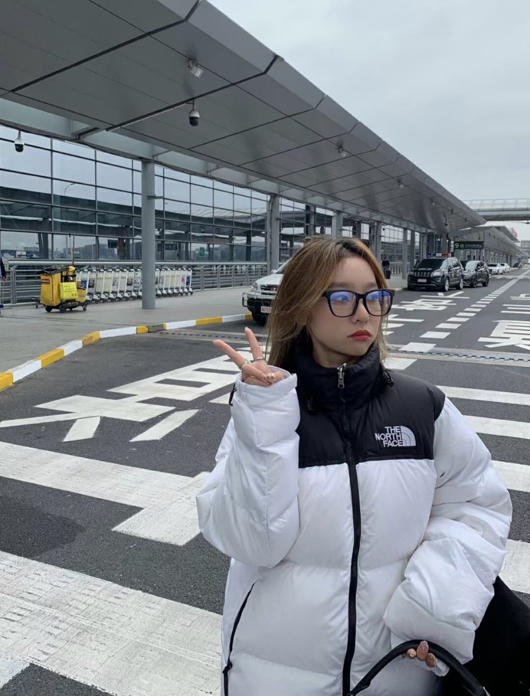 THE NORTH FACE 1996 拼接 刺繍 中綿ブルゾン アウトドア 保温