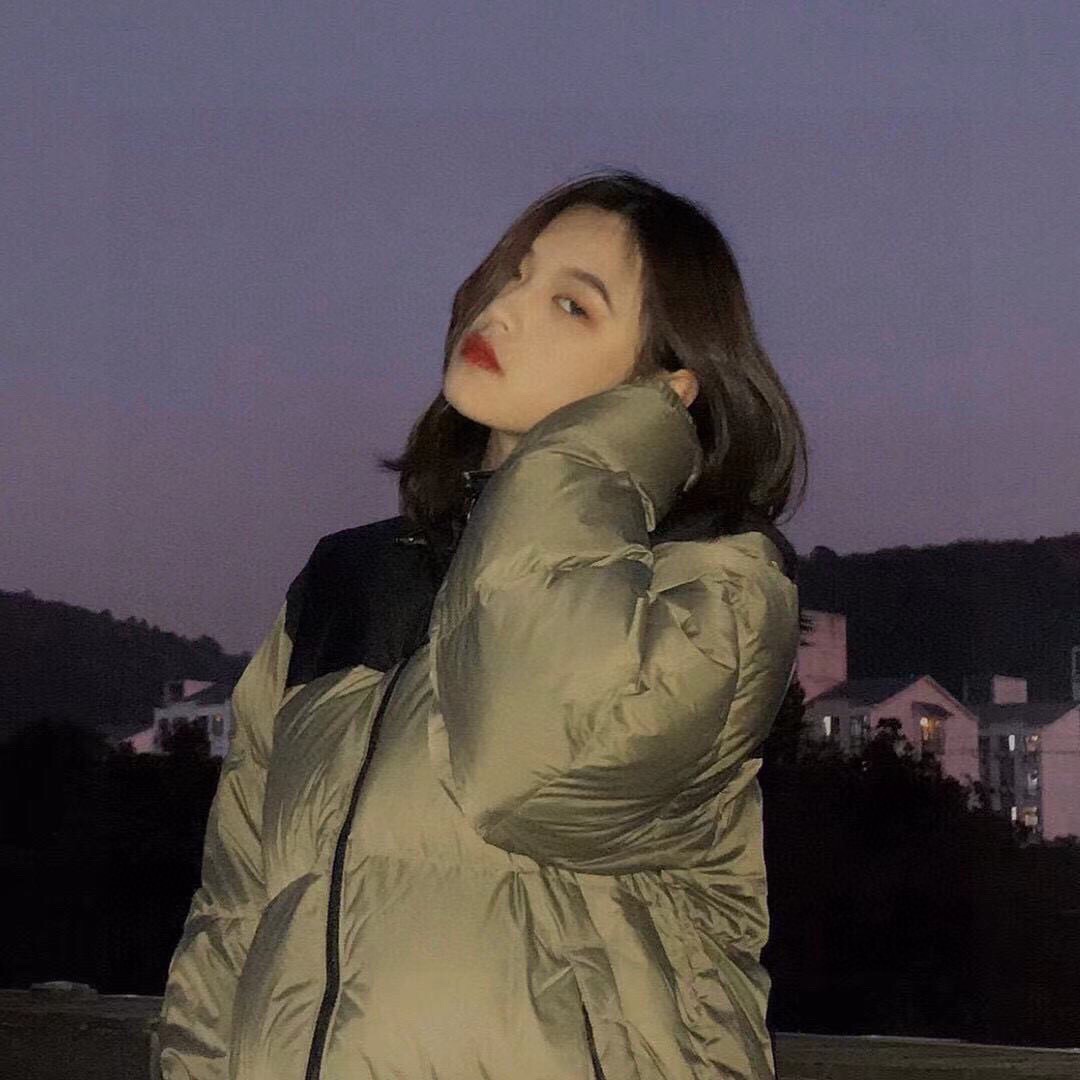 THE NORTH FACE 1996 刺繊入り 配色 ブロック ダウンコート 軽量 アウトドア 撥水