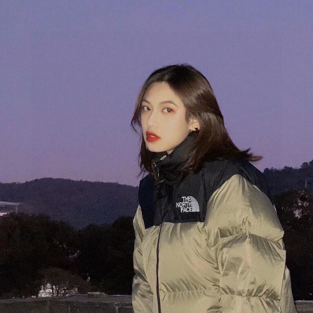 THE NORTH FACE 1996 刺繊入り 配色 ブロック ダウンコート 軽量 アウトドア 撥水