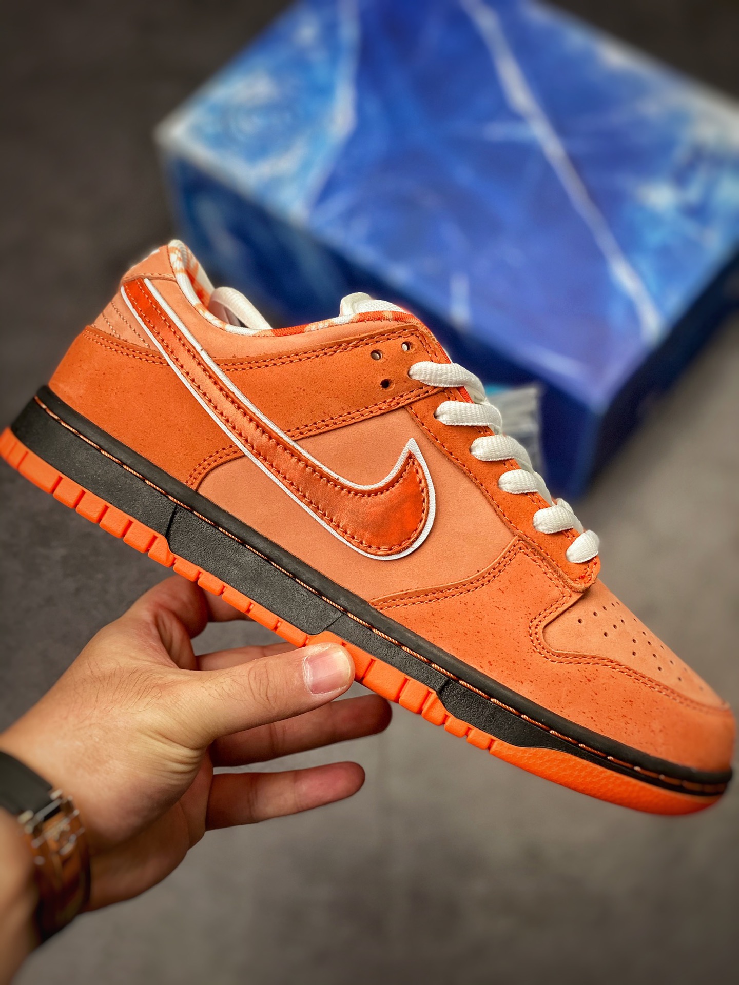 400 波士顿知名鞋店重磅联名 Concepts x Nike SB Dunk Low ”Orange Lobster” 橙龙虾 FD8776-800
