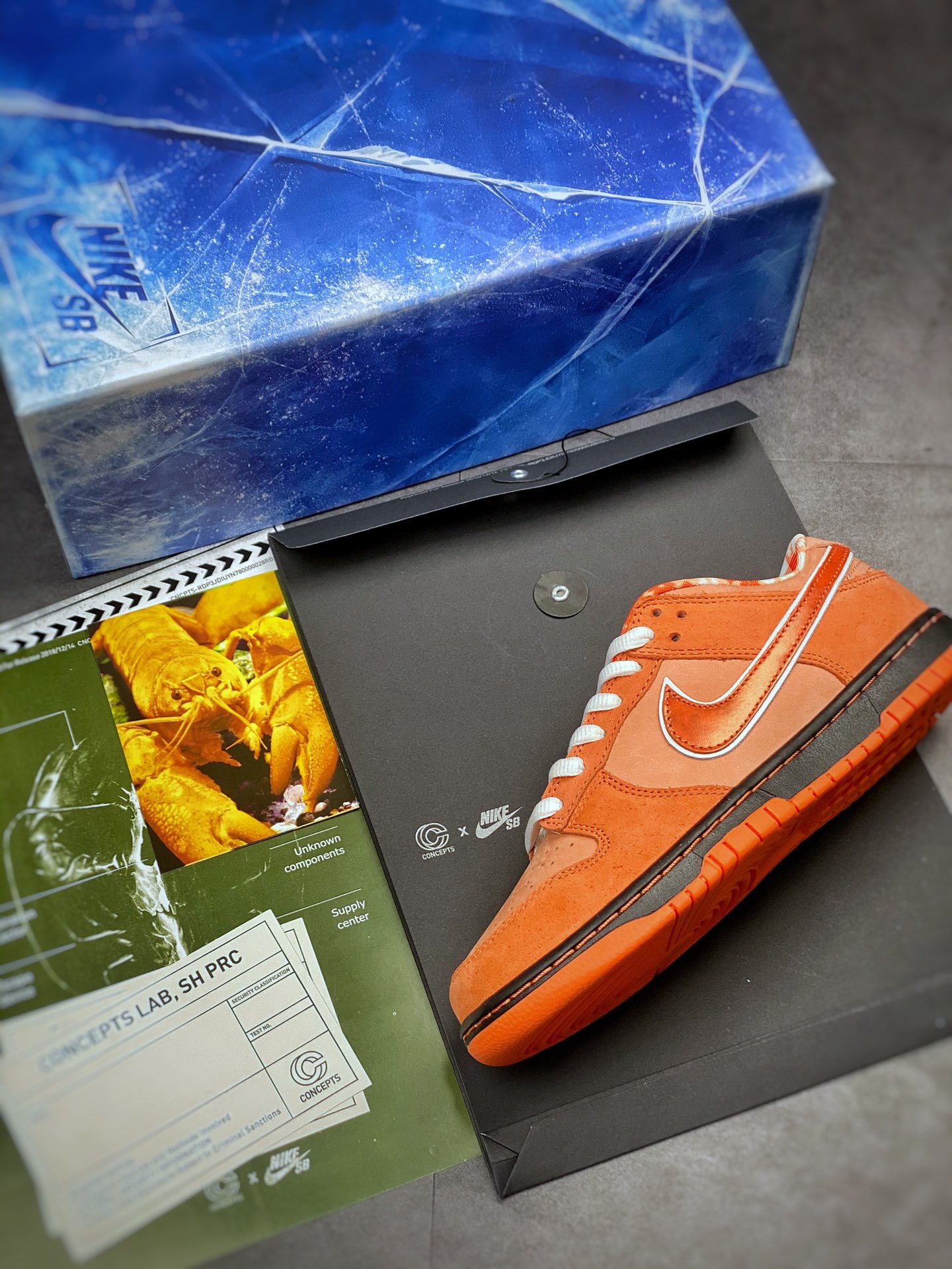 400 波士顿知名鞋店重磅联名 Concepts x Nike SB Dunk Low ”Orange Lobster” 橙龙虾 FD8776-800