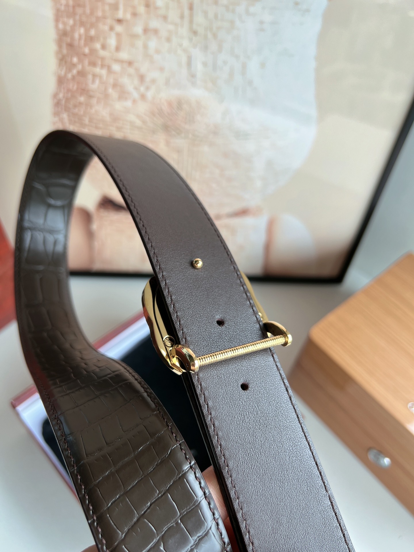 Stefano Ricci Male Belt: Classic Steel Eagles with Metal Buttons and Alligator Texture - 图片 3