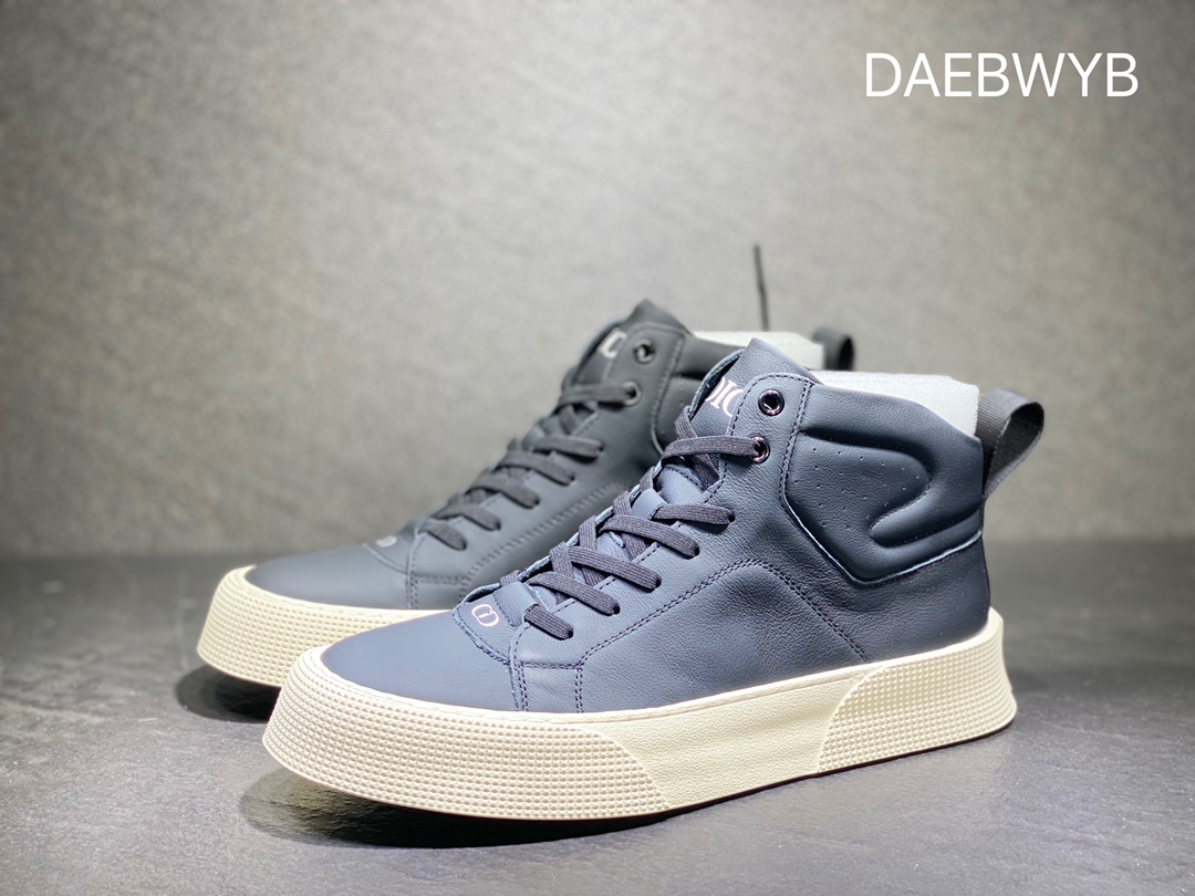 DIOR B33 high top series