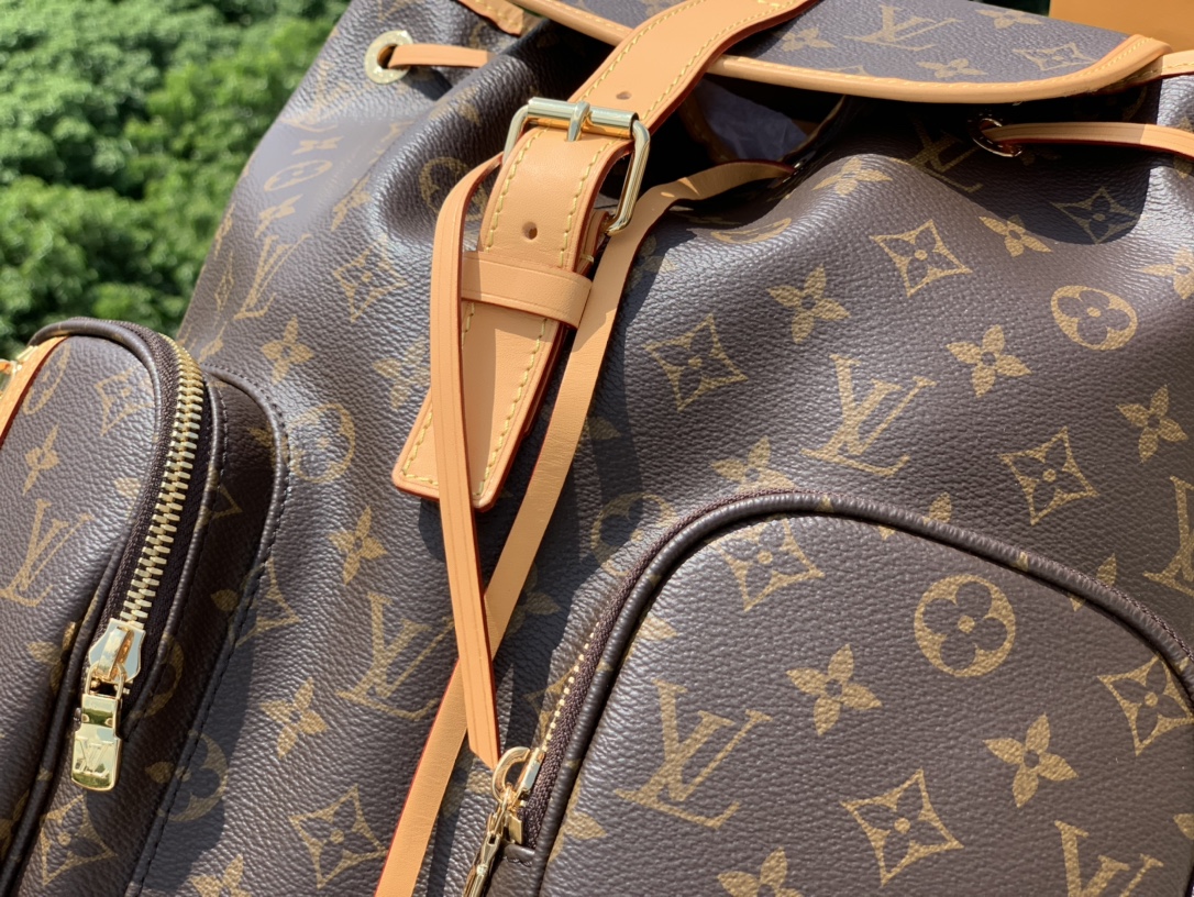 🌼尺寸31-38-11cm海外贸易公司订单！LV新款老花中古BOS🌼PHORE系列小号双肩背包，取材Mo