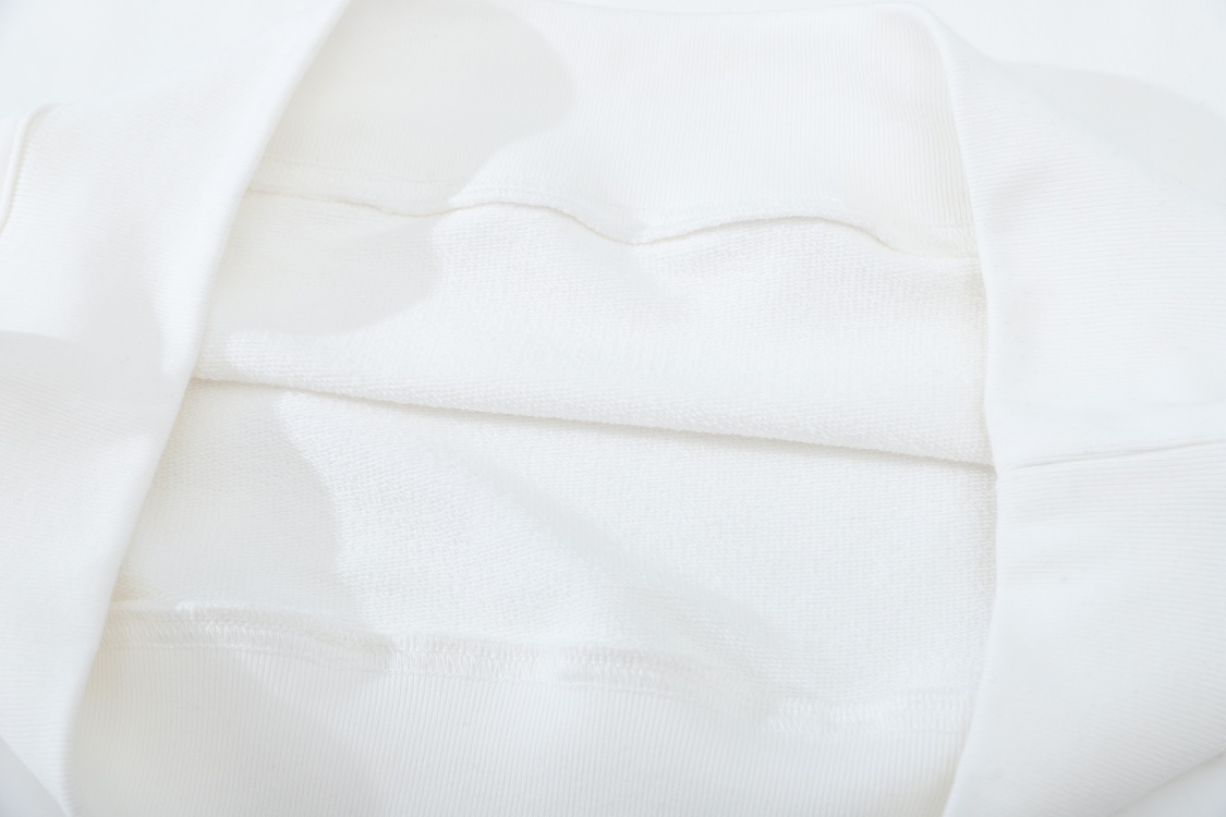 Gucci×The North Face コラボ プレミアムコットン オーバーサイズ プルパーカー