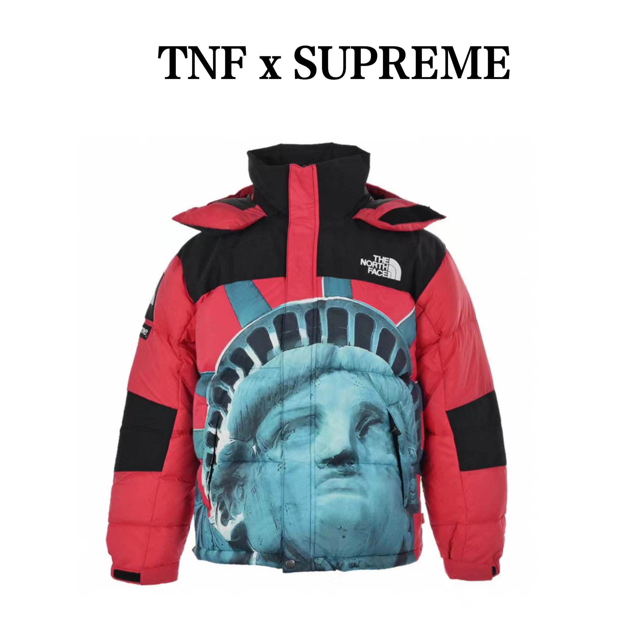 💰500 The North Face & Supreme 20Fw联名款自由女神羽绒服