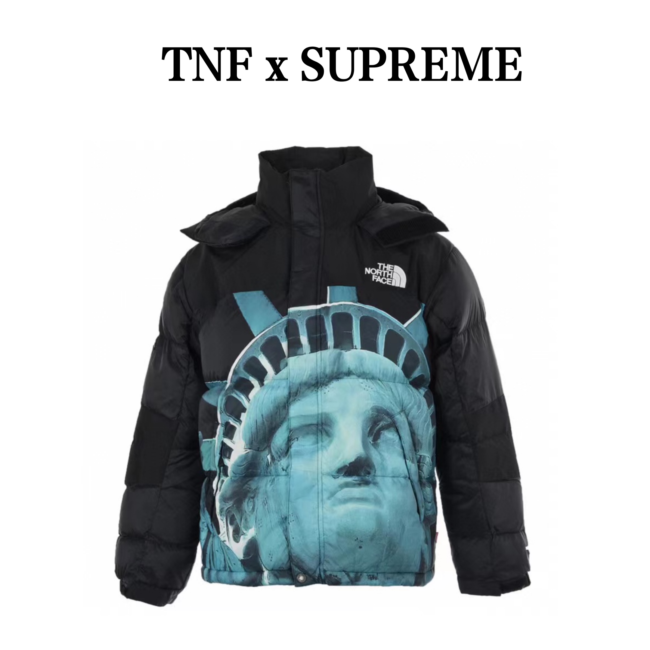 The North Face & Supreme 20Fw联名款自由女神羽绒服