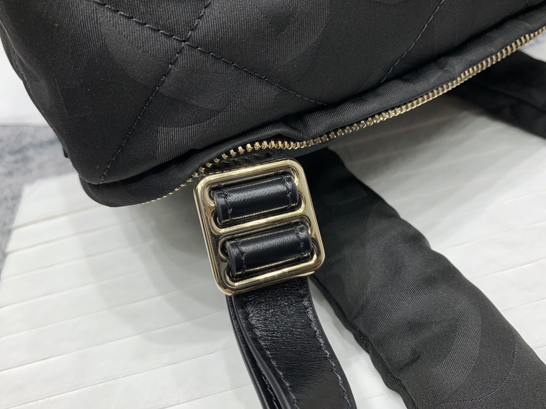 Chanel rare pair in stock 2023 coco neige ski bag