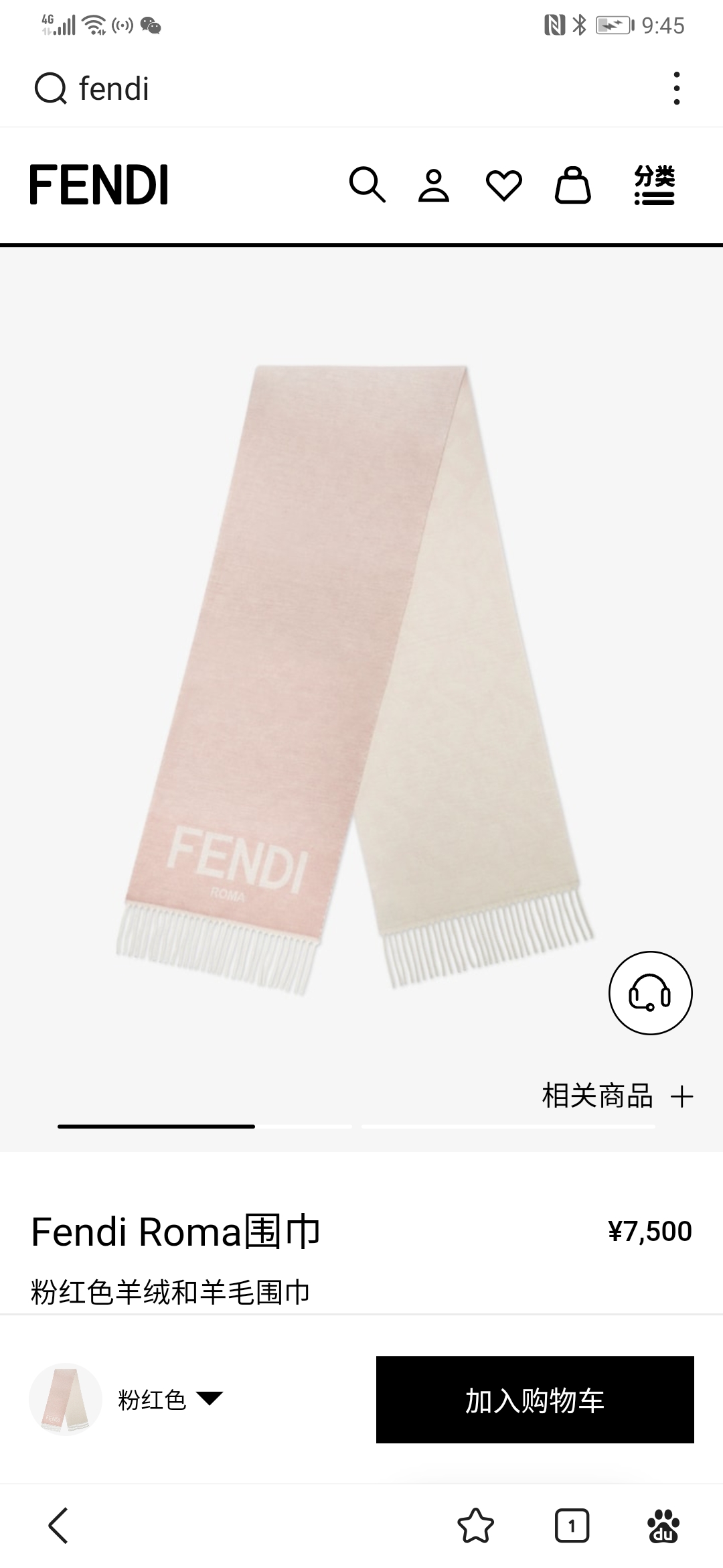 [Fendi Scarves]