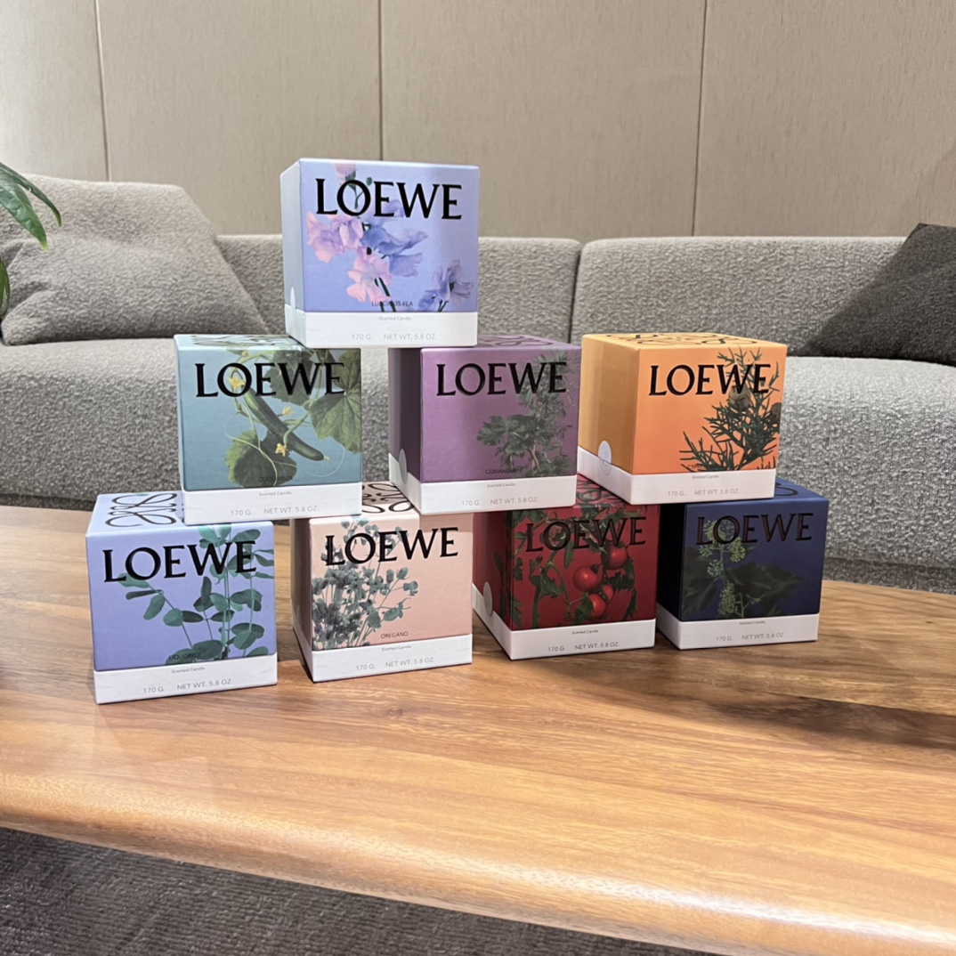 Loewe Luxury Handbag Collection 2