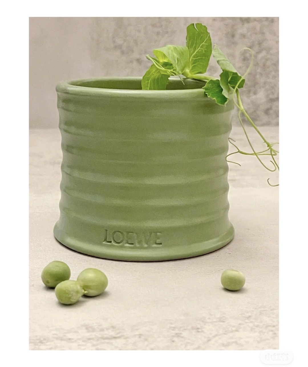 Loewe Maison Lifestyle Luxury Home Decor Blanket Tableware Bedding 8
