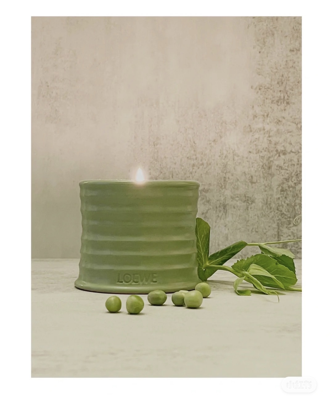 Loewe Maison Lifestyle Luxury Home Decor Blanket Tableware Bedding 9