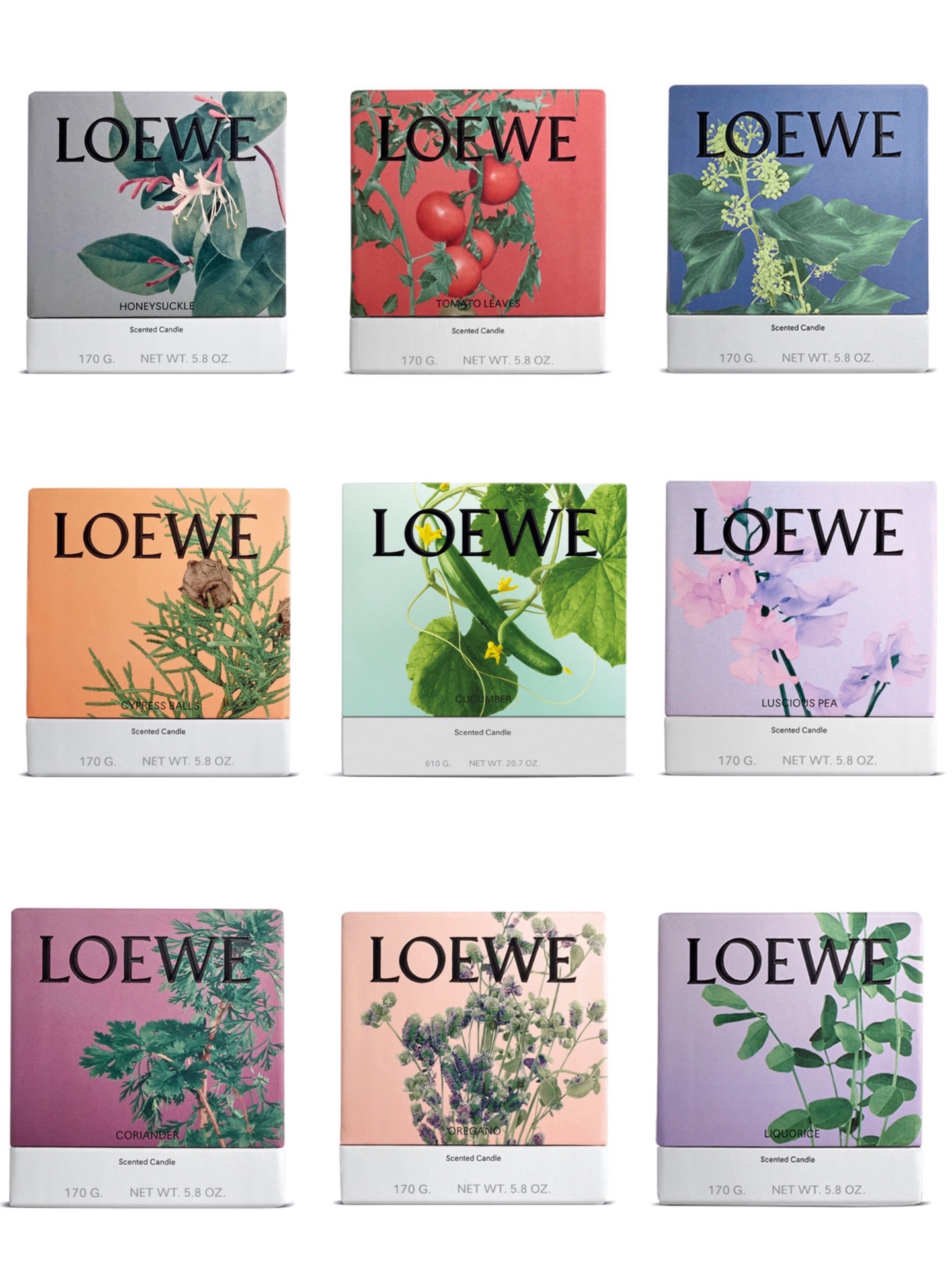 Loewe Maison Lifestyle Luxury Home Decor Blanket Tableware Bedding 5