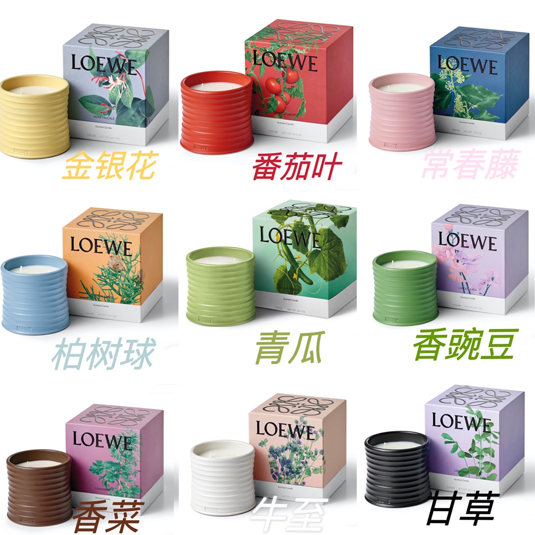 Loewe Luxury Handbag Collection 5
