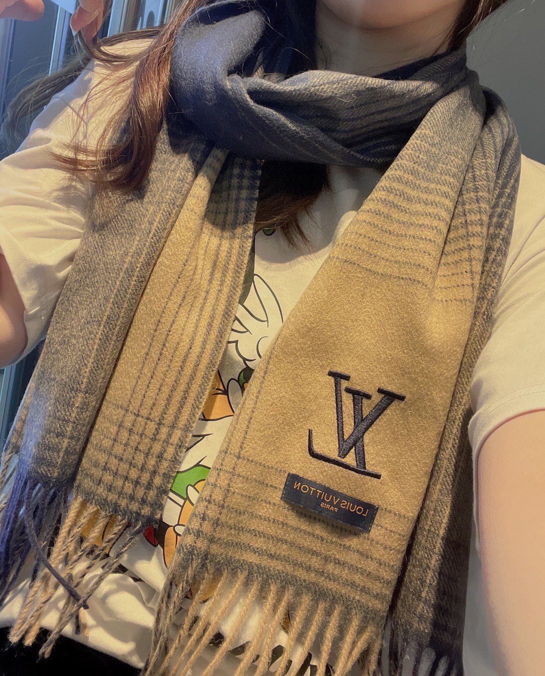 Louis Vuitton Scarf Men Casual