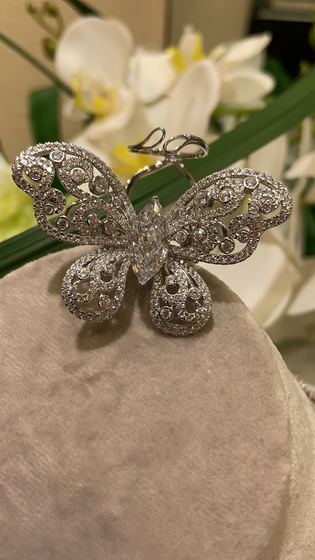 NO:634800,Advanced customization series, brilliant white diamond series, a moving butterfly ring. The butterfly wings vibrate gently, as if dancing gracefully. It stays between the fingers, which is super eye-catching and the noble value soars~ The whole fairy atmosphere is full of beauty and too charming. Material: s925 sterling silver, customized + high carbon diamond, size6-7-8-9, ring with packaging box, ring, pure silver, Cartier high-end jewelry19860909高级定制系列 璀璨白钻系列 一枚会动的蝴蝶戒指 蝴蝶翅膀轻轻振动 宛若翩然起舞 停留在指间超级吸睛贵气值飙升～ 一整个仙气满满美得太过于迷人啦 材质s925纯银定制+高碳钻 size6-7-8-9 戒指带包装盒,,ring,pure silver,卡迪亚高端饰品,Jewelry