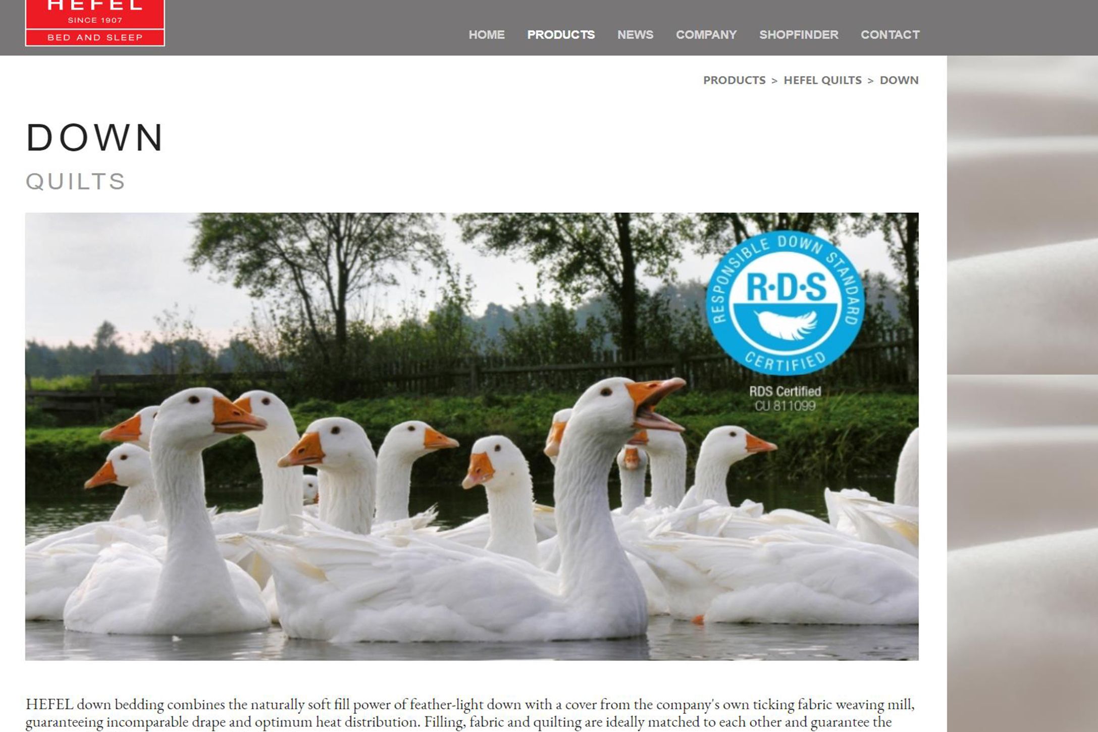 Official reference # HEFEL has always been the official equipment suppli - Comprehensive 7