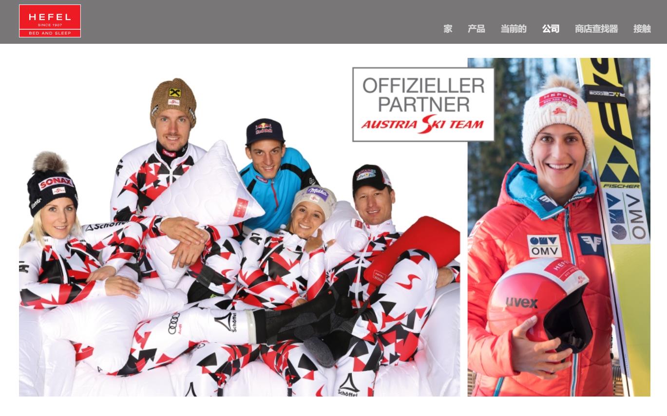 Official reference # HEFEL has always been the official equipment suppli - Comprehensive 6