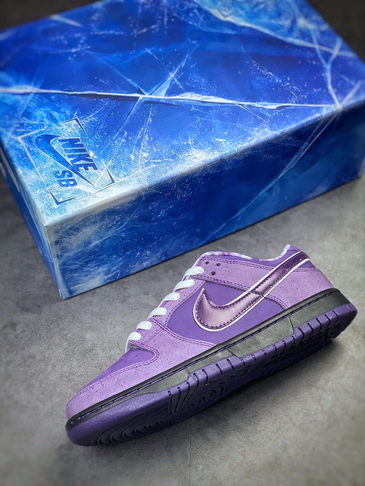 Boston's well-known shoe store heavy joint Concepts x Nike SB Dunk Low ”Purple Lobster” purple lobster BV1310-555