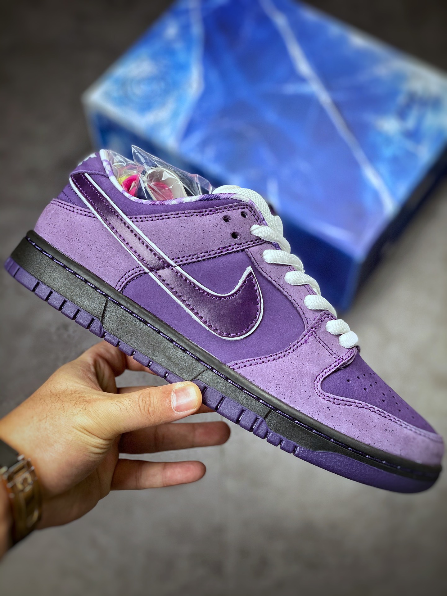 Boston's well-known shoe store heavy joint Concepts x Nike SB Dunk Low ”Purple Lobster” purple lobster BV1310-555