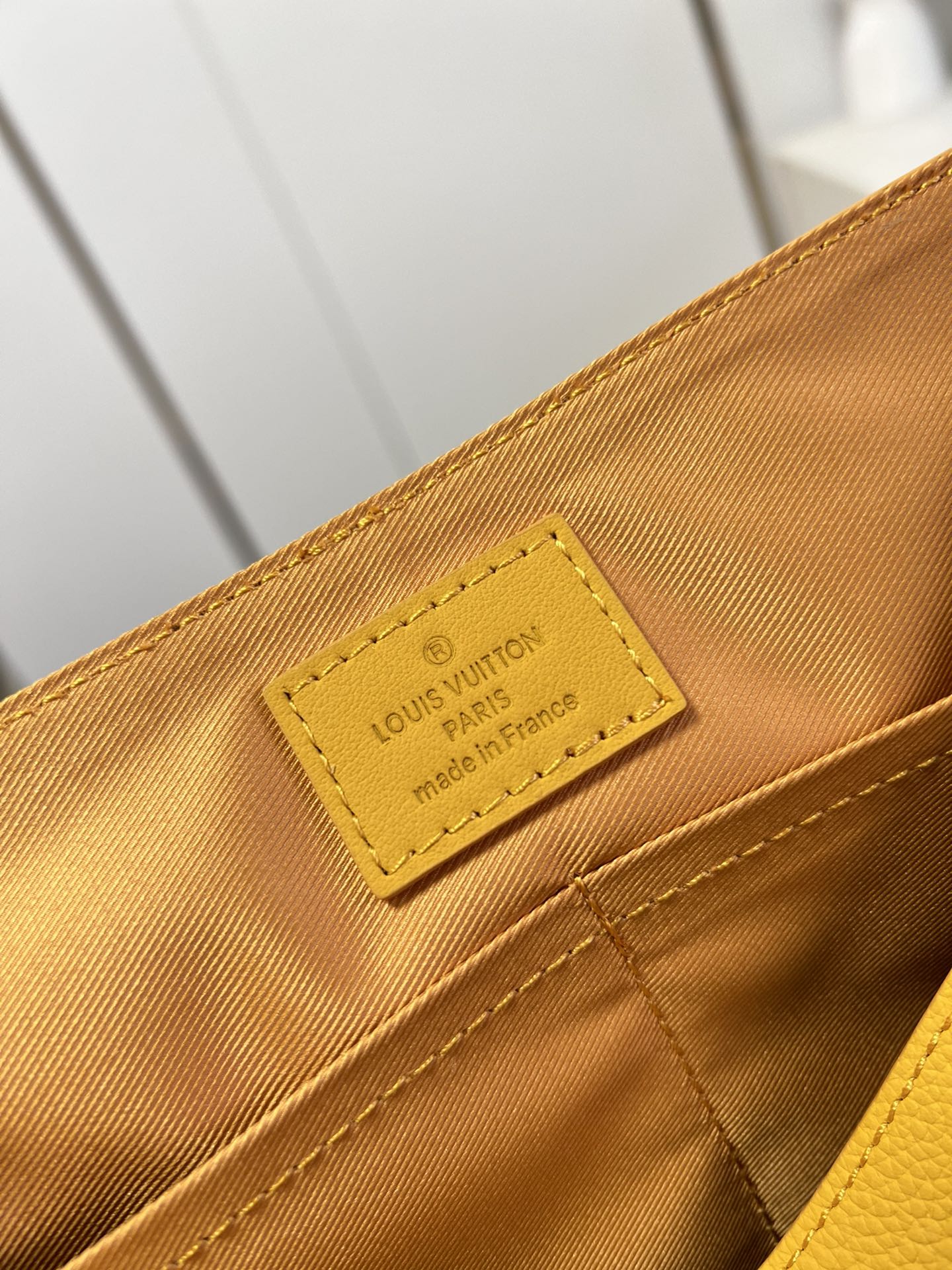 Louis Vuitton Luxury Handbag Collection 9