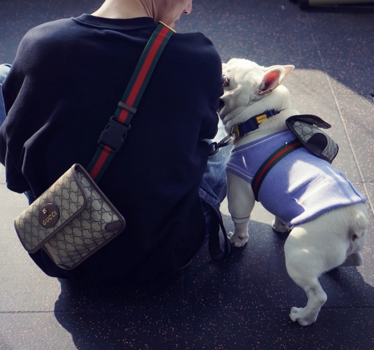 GUCCI 虎头腰包💰190(情侣款) 采用GG Supreme高级人造帆布制作,配以复古风格设计,款式采用皮革滚边,可以缠腰佩戴,配以织带和搭扣确保安全。 规格: 24*16.5*3.5cm