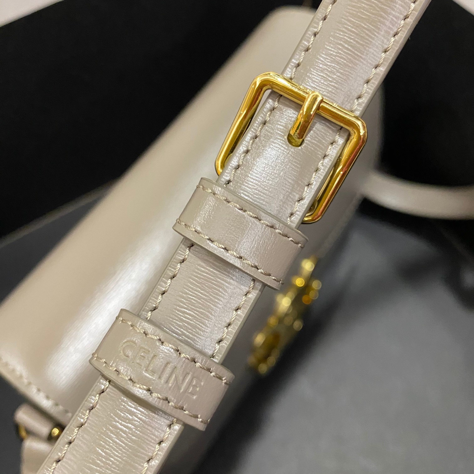 Celine Teen Triomphe Bag in Smooth Calfskin with Adjustable Shoulder Strap 8 a1668061125024 4532