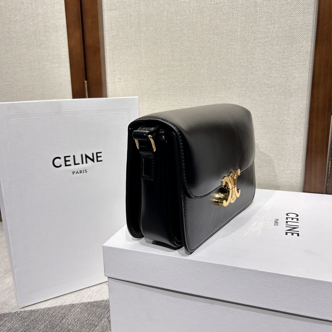 Celine Style Leather Bag Lookbook Reference image 2