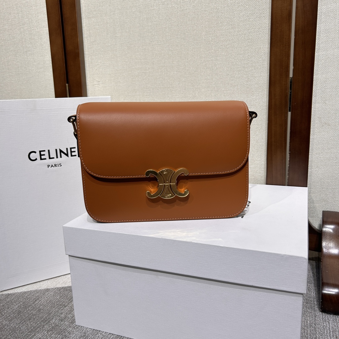 Celine Style Leather Bag Lookbook Reference image 1