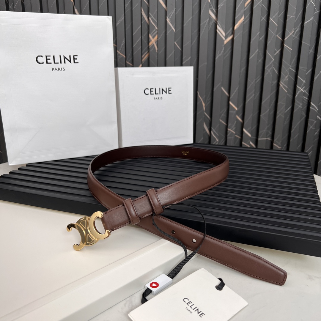 Celine Triomphe Logo Belt - Stylish Leather Belt for Men and Women 2 i1668613446 2314 0
