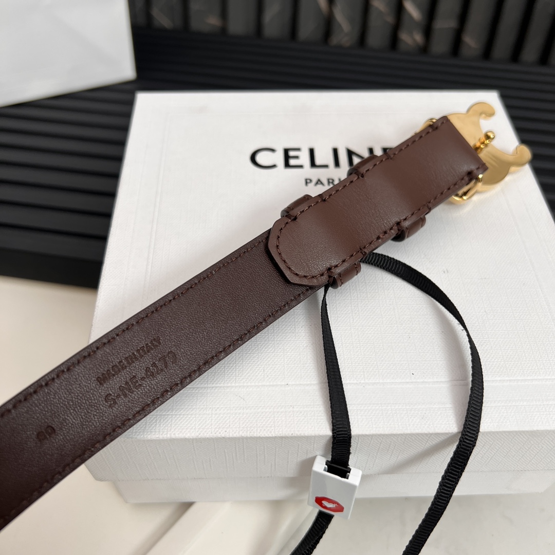 Celine Triomphe Logo Belt - Stylish Leather Belt for Men and Women 7 i1668613446 8792 5