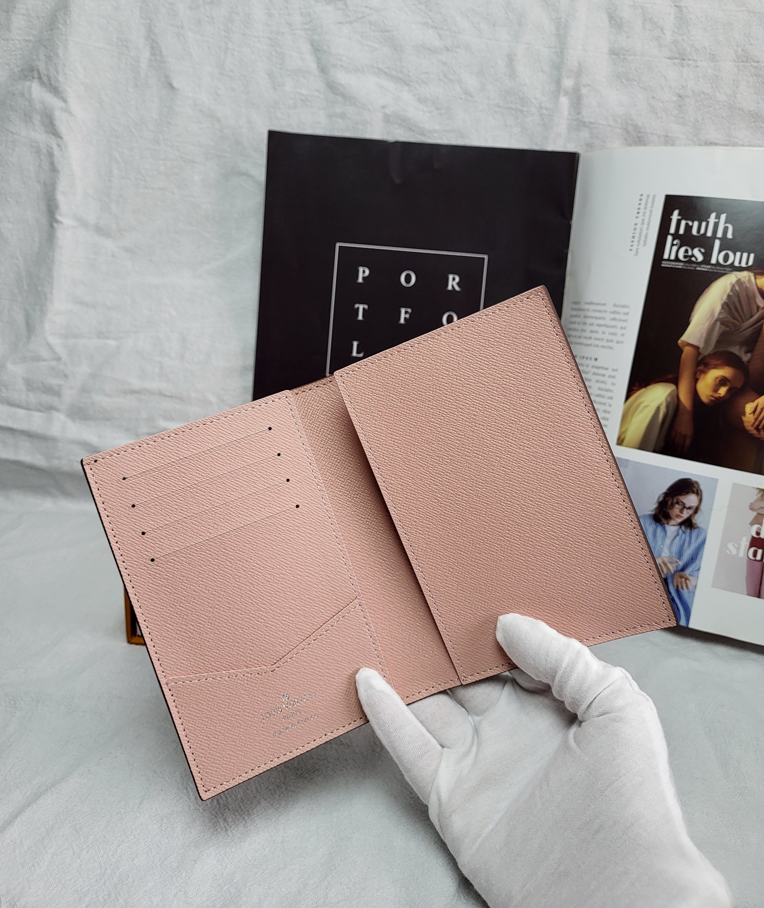 Passport inside leather passport holder