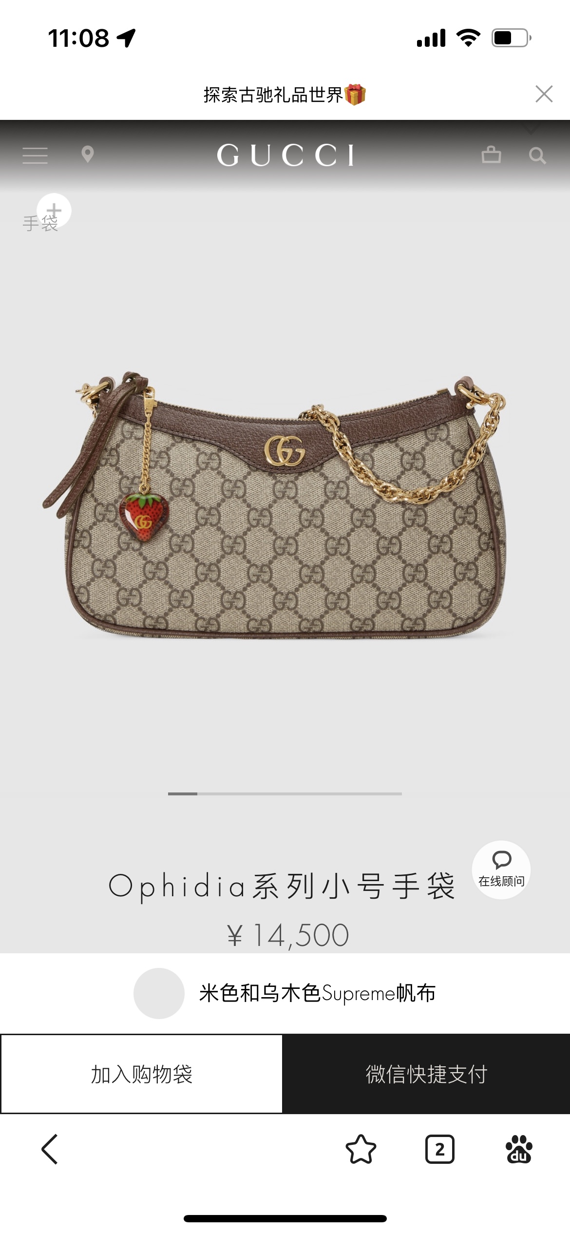 Gucci Borse Crossbody & Borse a Tracolla Qualità insuperabile
 Tutto acciaio Vintage Catene