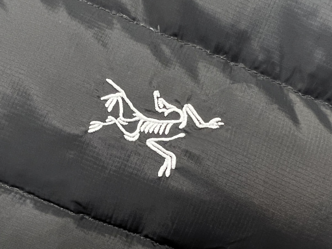 600（最高版本 随意对比) Arcteryx 始祖鸟 Thorium AR 刺绣LOGO 750蓬